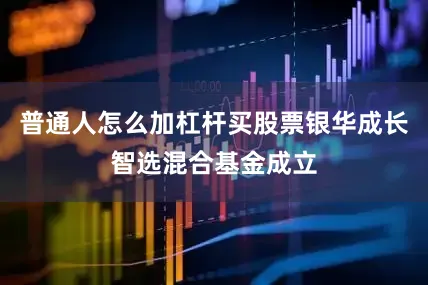 普通人怎么加杠杆买股票银华成长智选混合基金成立