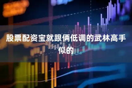 股票配资宝就跟俩低调的武林高手似的