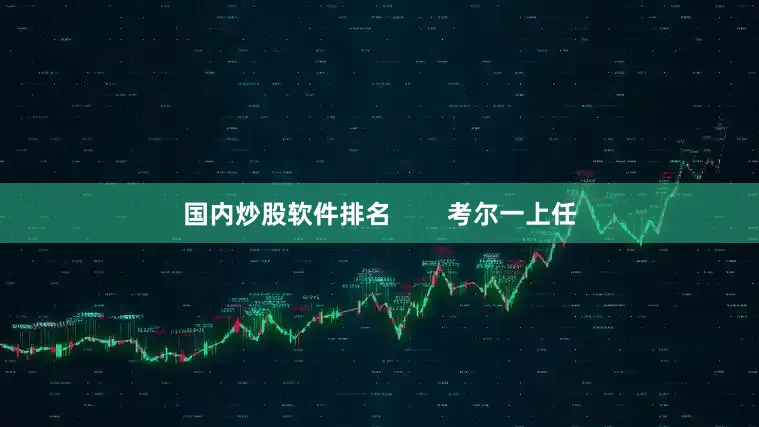 国内炒股软件排名        考尔一上任