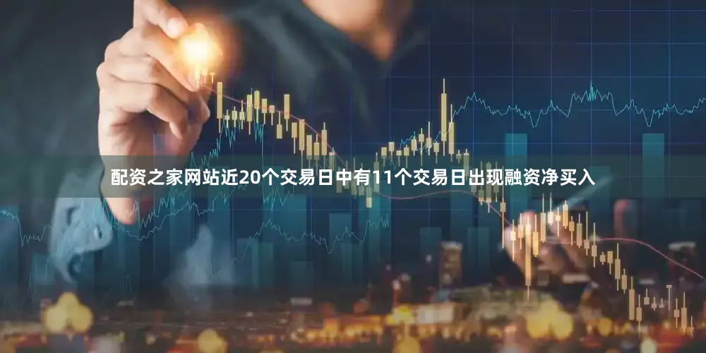 配资之家网站近20个交易日中有11个交易日出现融资净买入