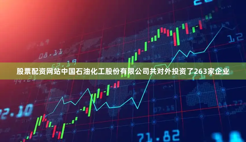 股票配资网站中国石油化工股份有限公司共对外投资了263家企业
